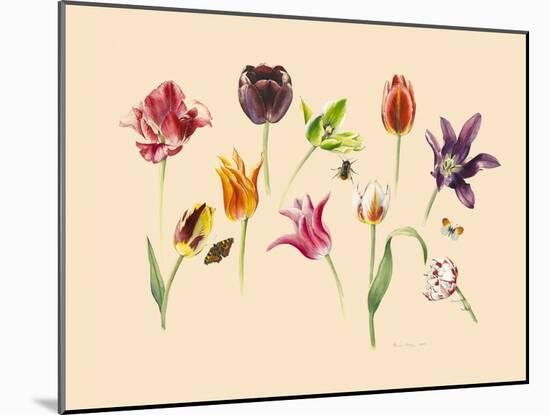 spring tulips and insects-Alison Cooper-Mounted Giclee Print