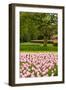 Spring Tulips Field-neirfy-Framed Photographic Print