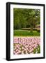Spring Tulips Field-neirfy-Framed Photographic Print