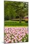Spring Tulips Field-neirfy-Mounted Photographic Print