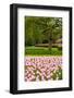 Spring Tulips Field-neirfy-Framed Photographic Print