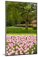 Spring Tulips Field-neirfy-Mounted Photographic Print