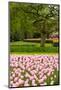 Spring Tulips Field-neirfy-Mounted Photographic Print