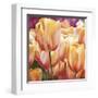 Spring Tulips I-Luca Villa-Framed Art Print