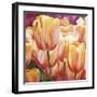 Spring Tulips I-Luca Villa-Framed Art Print