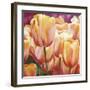 Spring Tulips I-Luca Villa-Framed Art Print