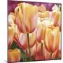 Spring Tulips I-Luca Villa-Mounted Art Print