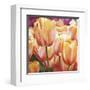 Spring Tulips I-Luca Villa-Framed Art Print