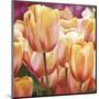 Spring Tulips I-Luca Villa-Mounted Art Print