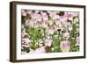 Spring Tulips-Incredi-Framed Giclee Print