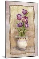 Spring Tulips-Abby White-Mounted Art Print