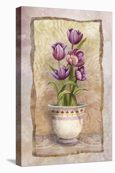Spring Tulips-Abby White-Stretched Canvas