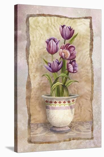 Spring Tulips-Abby White-Stretched Canvas