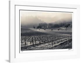 Spring Valley Mist-Donald Satterlee-Framed Giclee Print
