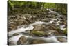 Spring view of Little Pigeon River, Greenbrier, Great Smoky Mountains National Park, Tennessee-Adam Jones-Stretched Canvas