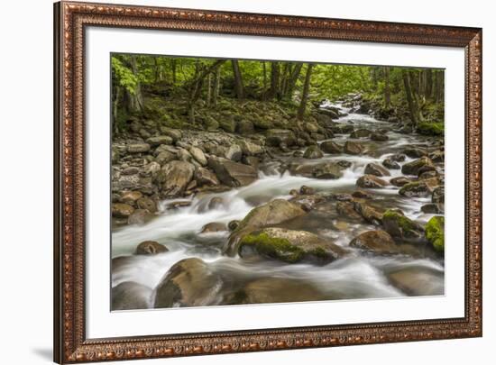 Spring view of Little Pigeon River, Greenbrier, Great Smoky Mountains National Park, Tennessee-Adam Jones-Framed Photographic Print