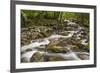 Spring view of Little Pigeon River, Greenbrier, Great Smoky Mountains National Park, Tennessee-Adam Jones-Framed Photographic Print