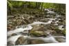 Spring view of Little Pigeon River, Greenbrier, Great Smoky Mountains National Park, Tennessee-Adam Jones-Mounted Photographic Print