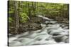 Spring view of Little Pigeon River, Greenbrier, Great Smoky Mountains National Park, Tennessee-Adam Jones-Stretched Canvas
