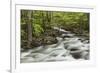 Spring view of Little Pigeon River, Greenbrier, Great Smoky Mountains National Park, Tennessee-Adam Jones-Framed Photographic Print