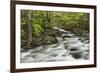 Spring view of Little Pigeon River, Greenbrier, Great Smoky Mountains National Park, Tennessee-Adam Jones-Framed Photographic Print