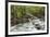 Spring view of Little Pigeon River, Greenbrier, Great Smoky Mountains National Park, Tennessee-Adam Jones-Framed Photographic Print