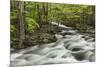 Spring view of Little Pigeon River, Greenbrier, Great Smoky Mountains National Park, Tennessee-Adam Jones-Mounted Photographic Print