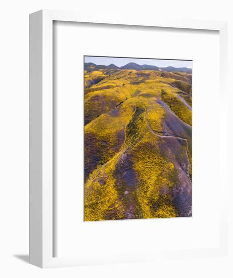 Spring Vision Wildflower Plains - Carrizo Southern California-Vincent James-Framed Photographic Print