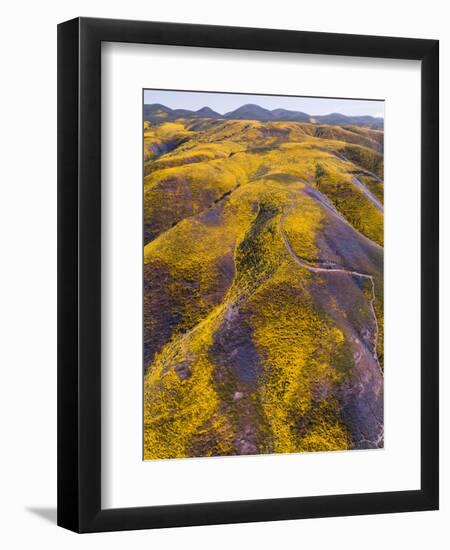 Spring Vision Wildflower Plains - Carrizo Southern California-Vincent James-Framed Photographic Print