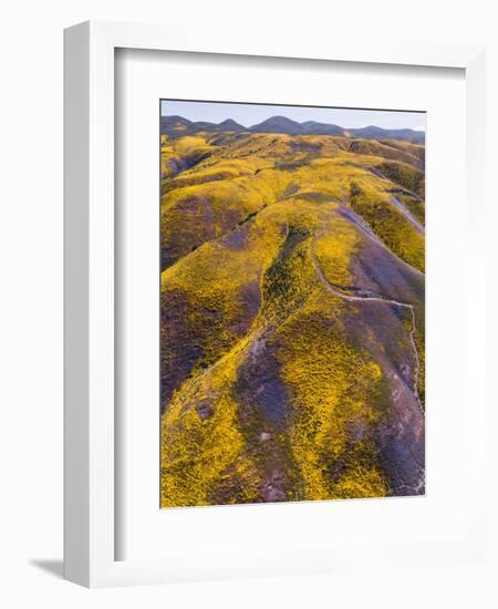 Spring Vision Wildflower Plains - Carrizo Southern California-Vincent James-Framed Photographic Print