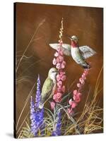 Spring Visitors-Trevor V. Swanson-Stretched Canvas