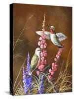 Spring Visitors-Trevor V. Swanson-Stretched Canvas