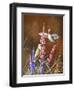 Spring Visitors-Trevor V. Swanson-Framed Giclee Print