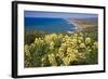 Spring Vista, Point Reyes, California-George Oze-Framed Photographic Print