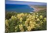 Spring Vista, Point Reyes, California-George Oze-Mounted Photographic Print