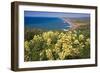 Spring Vista, Point Reyes, California-George Oze-Framed Photographic Print