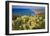 Spring Vista, Point Reyes, California-George Oze-Framed Photographic Print