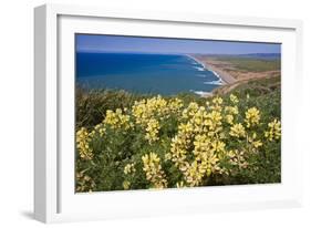 Spring Vista, Point Reyes, California-George Oze-Framed Photographic Print