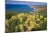 Spring Vista, Point Reyes, California-George Oze-Mounted Photographic Print