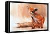 Spring Vixen, 2022, (pastel on paper)-Mark Adlington-Framed Stretched Canvas