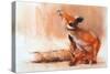 Spring Vixen, 2022, (pastel on paper)-Mark Adlington-Stretched Canvas