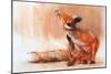 Spring Vixen, 2022, (pastel on paper)-Mark Adlington-Mounted Giclee Print