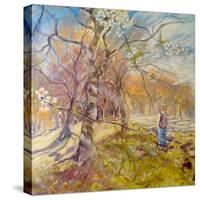 Spring Walk Under The Blossoms-Mary Smith-Stretched Canvas