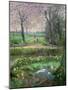 Spring Walk-Timothy Easton-Mounted Giclee Print