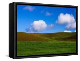 Spring Wheat Field and Clouds-Terry Eggers-Framed Stretched Canvas