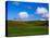 Spring Wheat Field and Clouds-Terry Eggers-Stretched Canvas