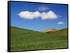 Spring Wheat Field and Clouds-Terry Eggers-Framed Stretched Canvas