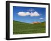 Spring Wheat Field and Clouds-Terry Eggers-Framed Premium Photographic Print