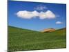 Spring Wheat Field and Clouds-Terry Eggers-Mounted Premium Photographic Print