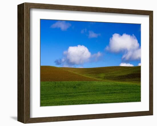 Spring Wheat Field and Clouds-Terry Eggers-Framed Photographic Print